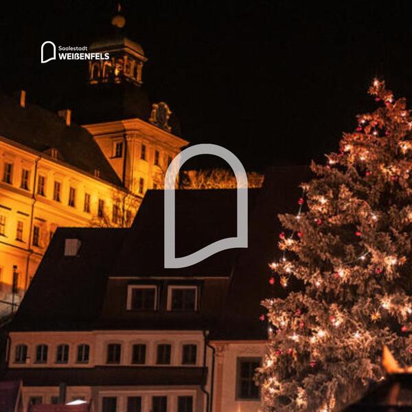 Schloss und W-Baum mit Bogen