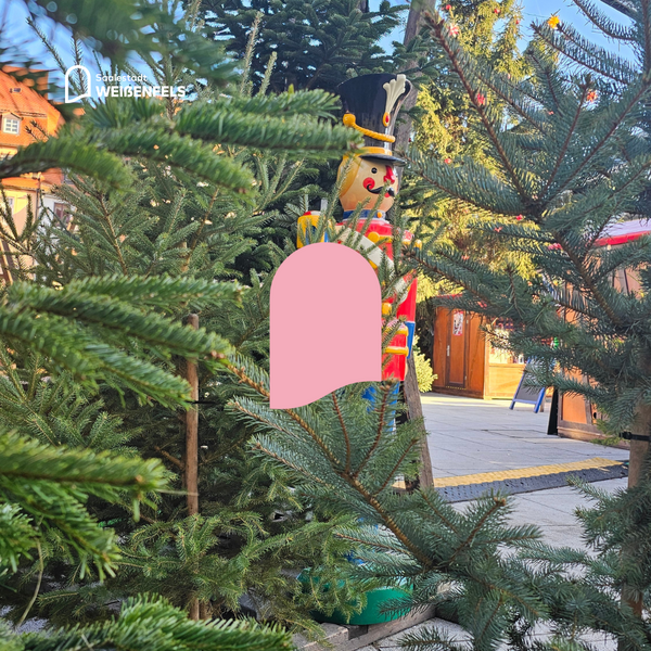 Weihnachtsb&auml;ume werden verschenkt