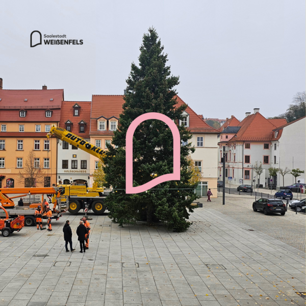 Weißenfelser Weihnachtsbaum 2024