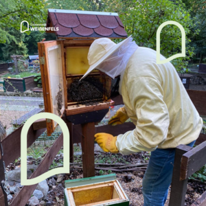Bild vergrößern: Umzug Bienen ins Winterquartier