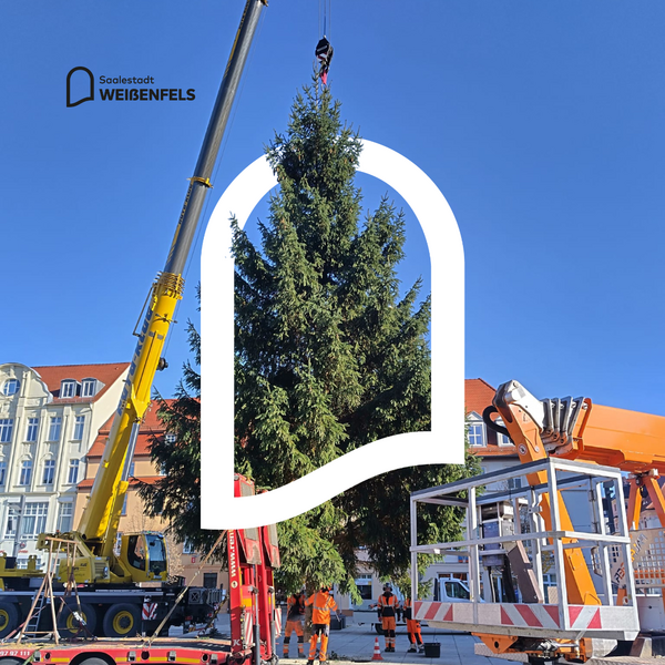 Weihnachtsbaum 2025
